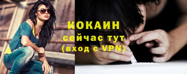 ешки Вяземский