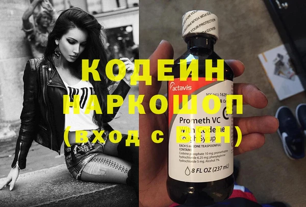 ешки Вяземский