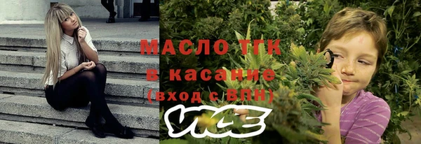ешки Вяземский