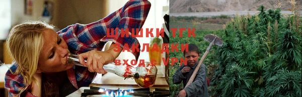 ешки Вяземский