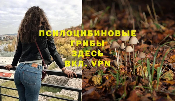 ешки Вяземский