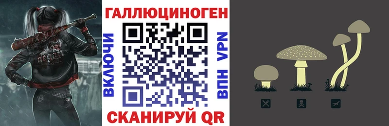 как найти   Королёв  ссылка на мегу сайт  Псилоцибиновые грибы Cubensis 